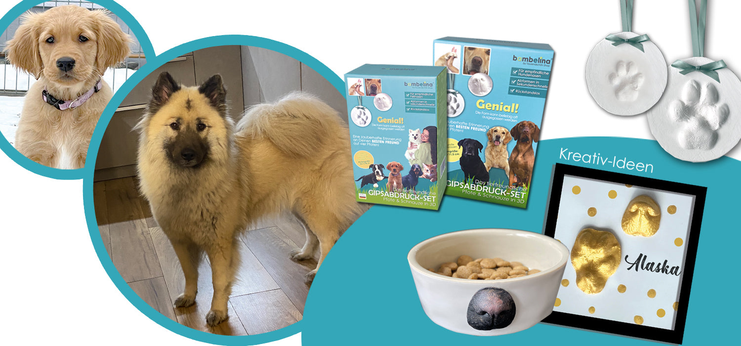 Ein Gipsabdruck von der Hundepfote und Hundeschnauze als Erinnerung in 3D. Hundepfote Abdruck mit bambelina