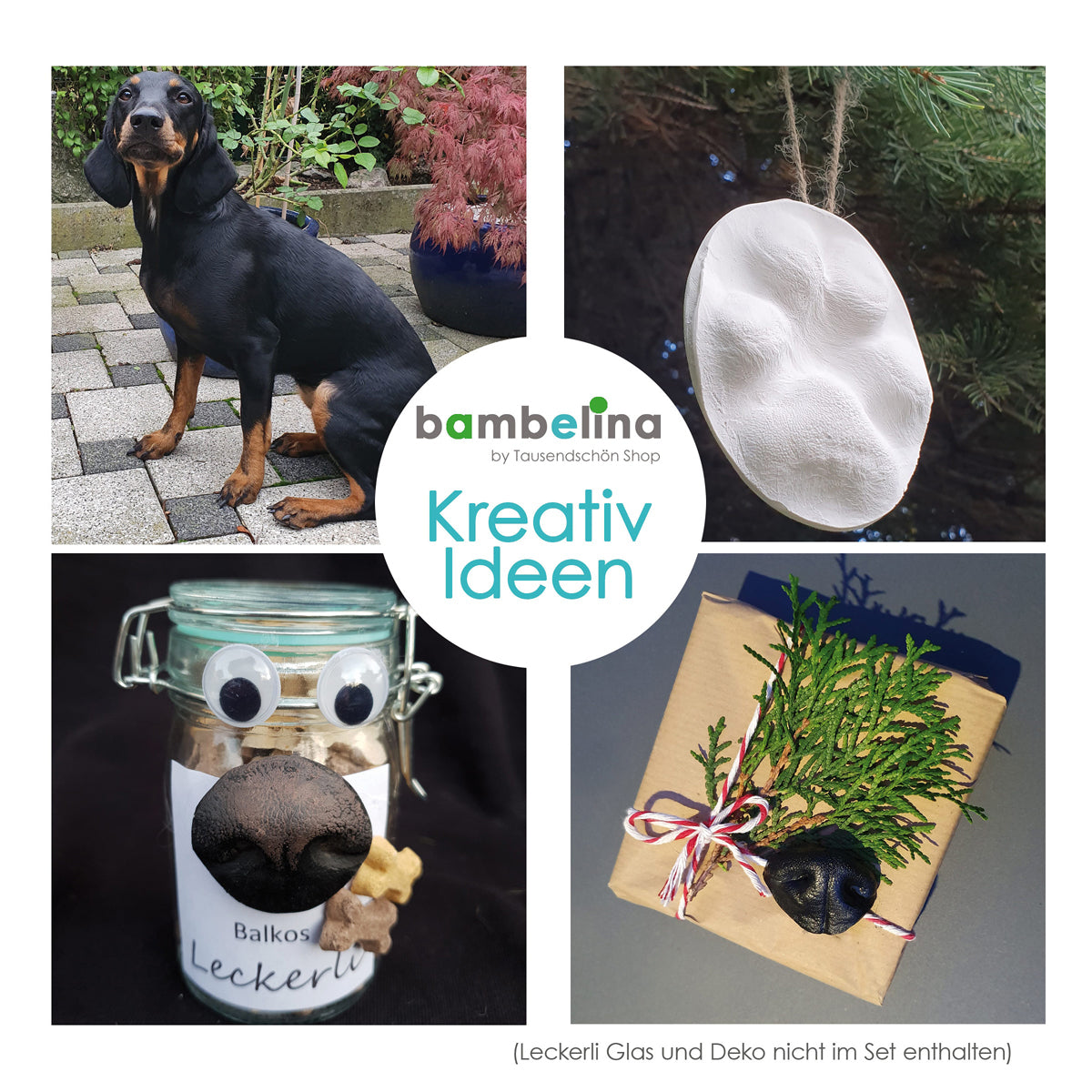 3D Gipsabdruck Set Pfote und Schnauze in 3D, Pfotengröße XS bis M, auch für Katzen