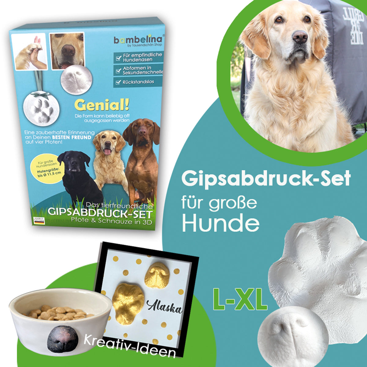Gipsabdruck Set für Hundepfote und Hundeschnauze in 3D, Abdruck Hund für Pfotengröße L bis XL, Art. 1040