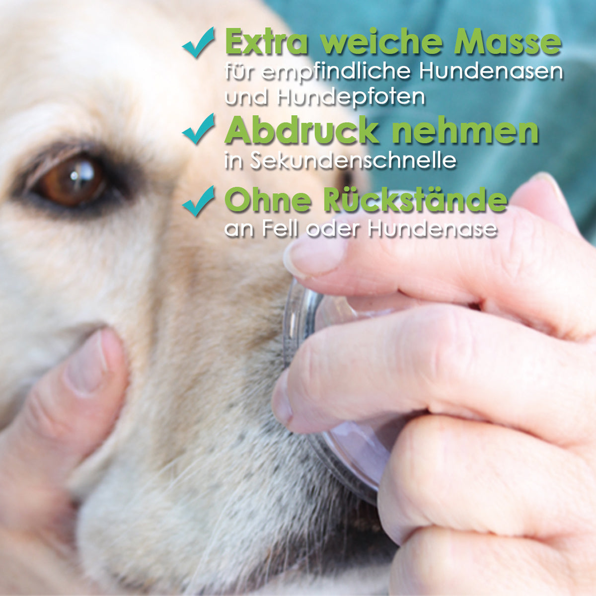 3D Gipsabdruck Set Pfote und Schnauze in 3D, Pfotengröße XS bis M, auch für Katzen