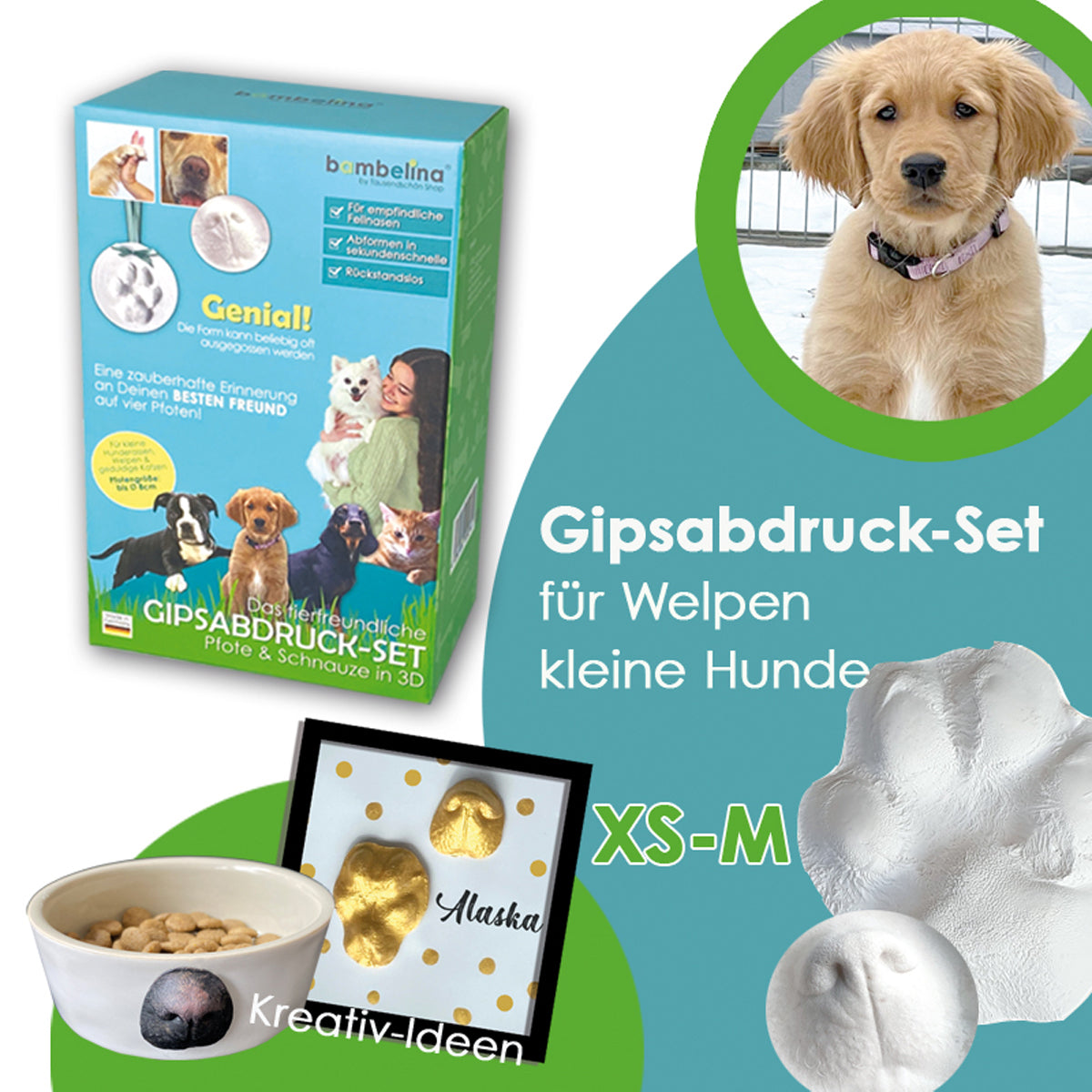 Gipsabdruck Set Hundepfote und Hundeschnauze in 3D, Abdruck Hund für Pfotengröße XS bis M, Art. 1038