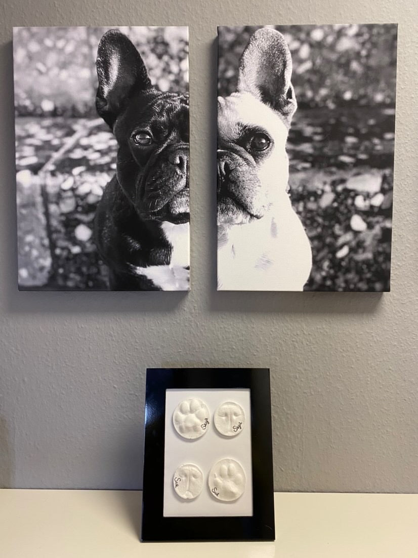 Pfotenabdruck und Schnauzenabdruck von Hund mit Gipsabdruck Set von bambelina. Tierlieb und sanft Abdruck vom Hund.