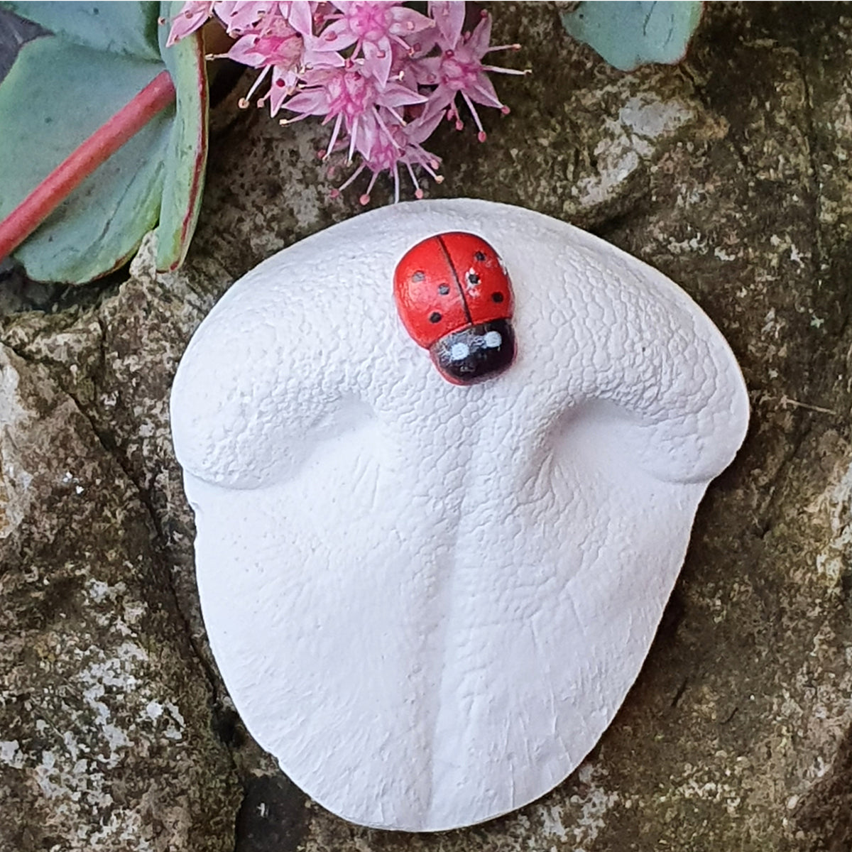 Lustiger Erinnerung Gipsabdruck von Schnauze Hund 