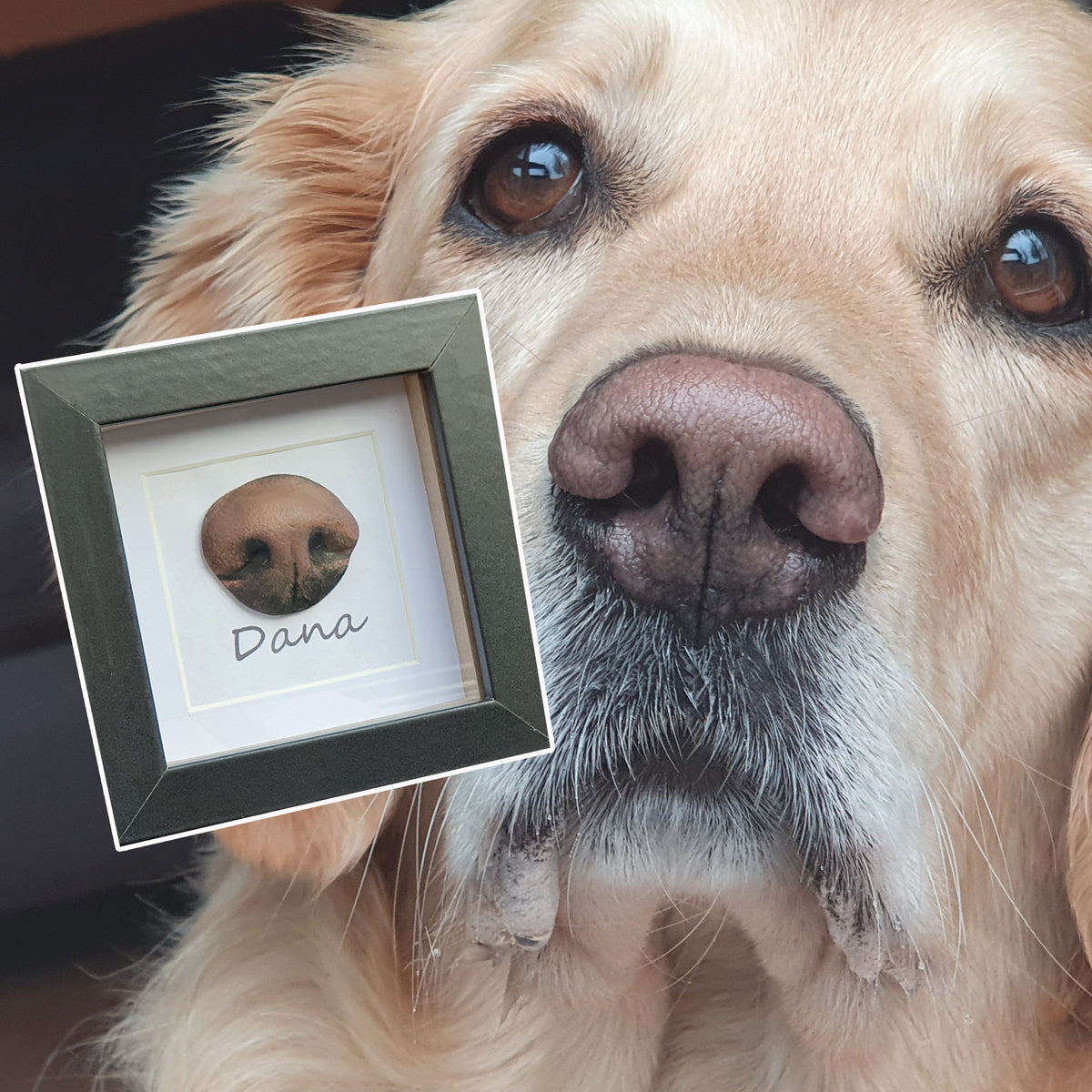 Gipsabdruck Set Hundepfote und Hundeschnauze in 3D, Abdruck Hund für Pfotengröße XS bis M, Art. 1038