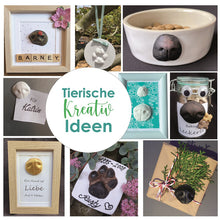 Lade das Bild in den Galerie-Viewer, Gipsabdruck Set für Hundepfote und Hundeschnauze in 3D, Abdruck Hund für Pfotengröße L  bis XL, Art. 1040
