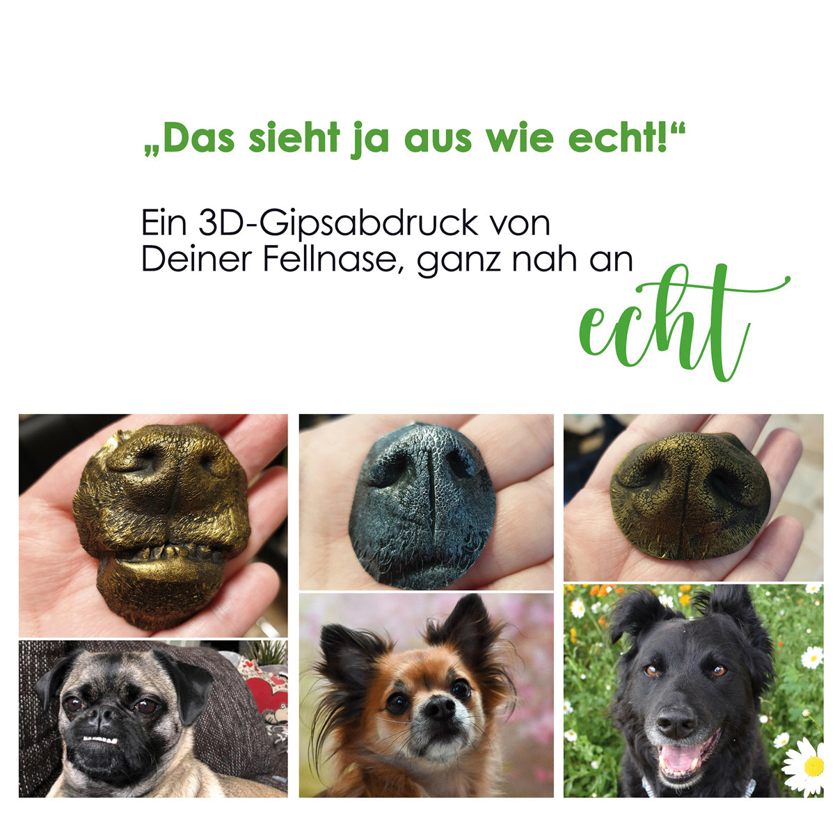 Gipsabdruck Set, Hundeschnauze und Hundepfote in 3D